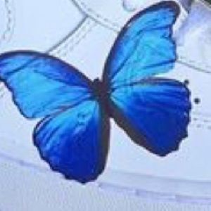 Meet your Posher, Christy